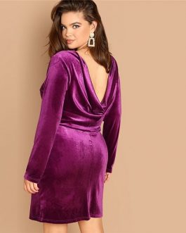 Plus Size Sexy Backless Purple Velvet Winter Party Dress