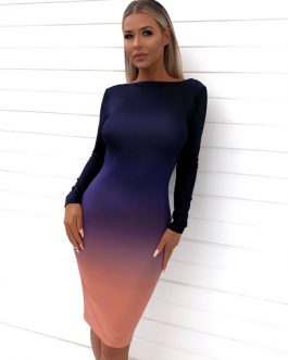 Sexy Bodycon Long Sleeve Party Dress
