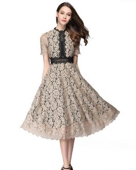Sexy Hollow Out Lace A-Line Elegant Party Dress