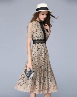 Sexy Hollow Out Lace A-Line Elegant Party Dress