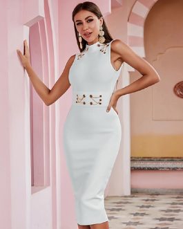 Sexy Runway Backless Hollow Out Celebrity Party Bandage Dress